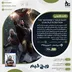 اکانت قانونی The Witcher 3: Wild Hunt – Complete Edition برای PS5 و PS4